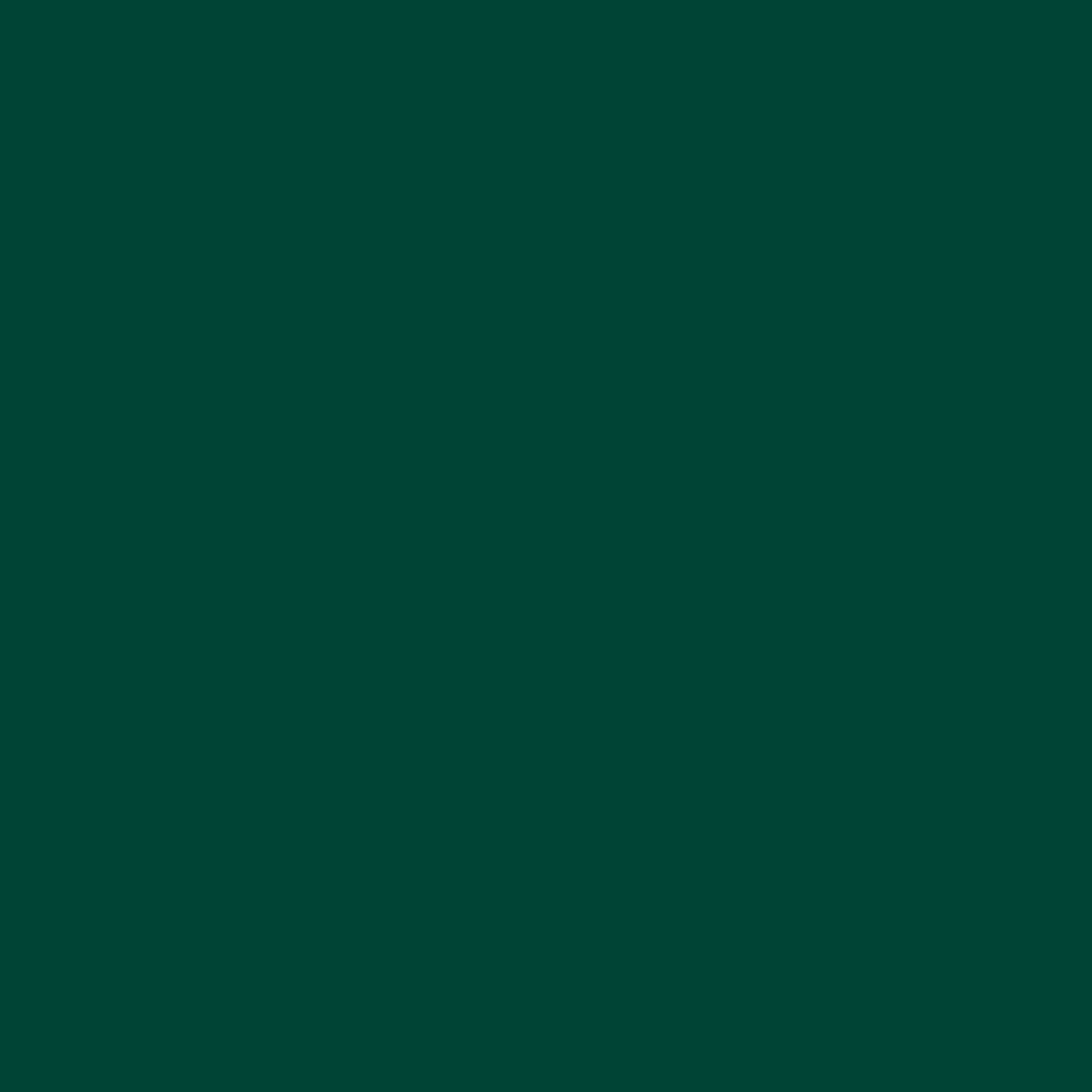 RAL 6005 - Vert Jamaïque
